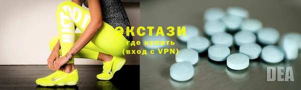 ECSTASY Ельня